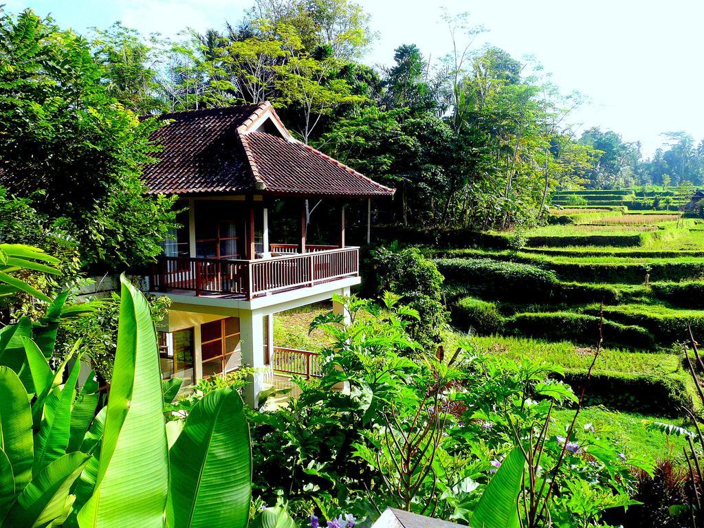 Villa Viola Ubud Eksteriør bilde
