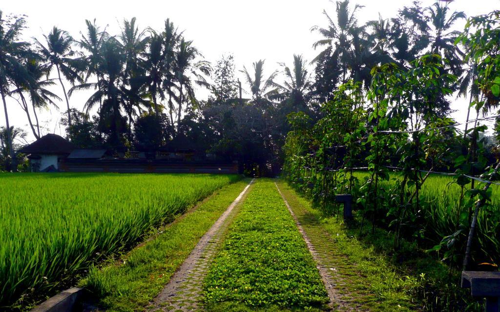 Villa Viola Ubud Eksteriør bilde