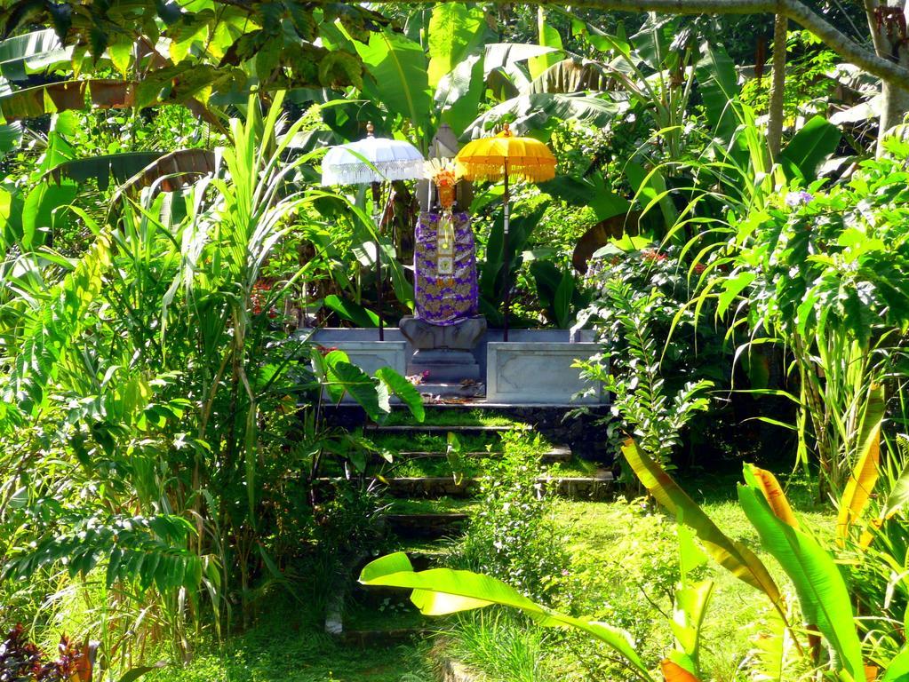 Villa Viola Ubud Eksteriør bilde