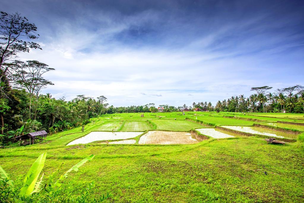 Villa Viola Ubud Eksteriør bilde