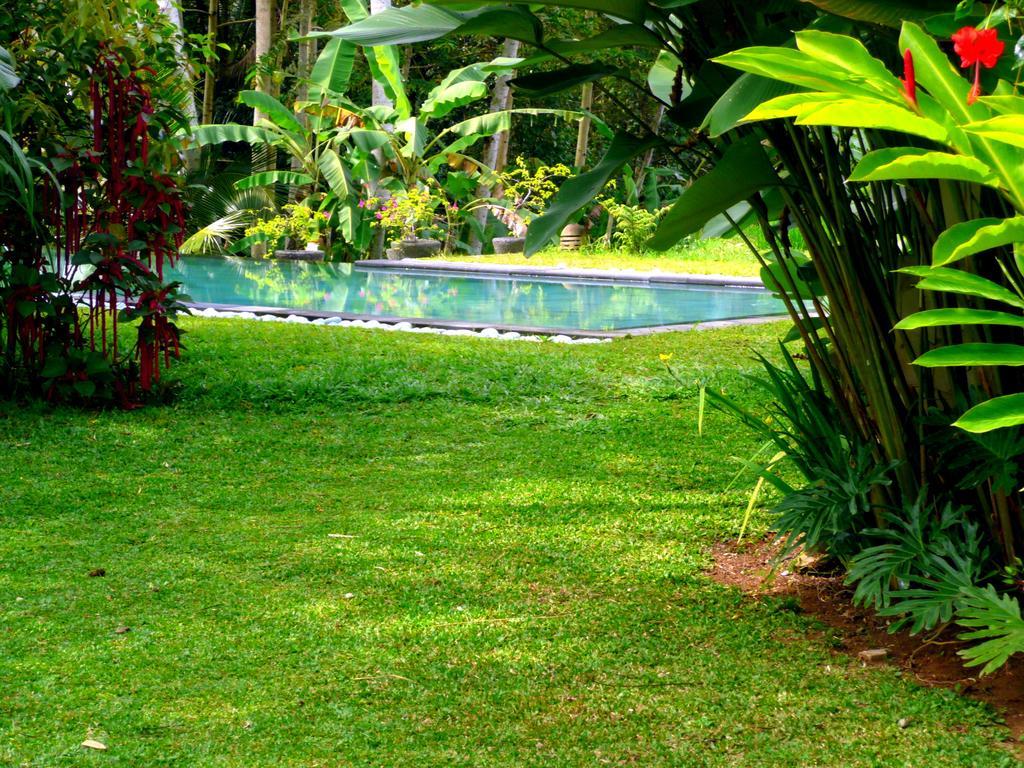 Villa Viola Ubud Eksteriør bilde