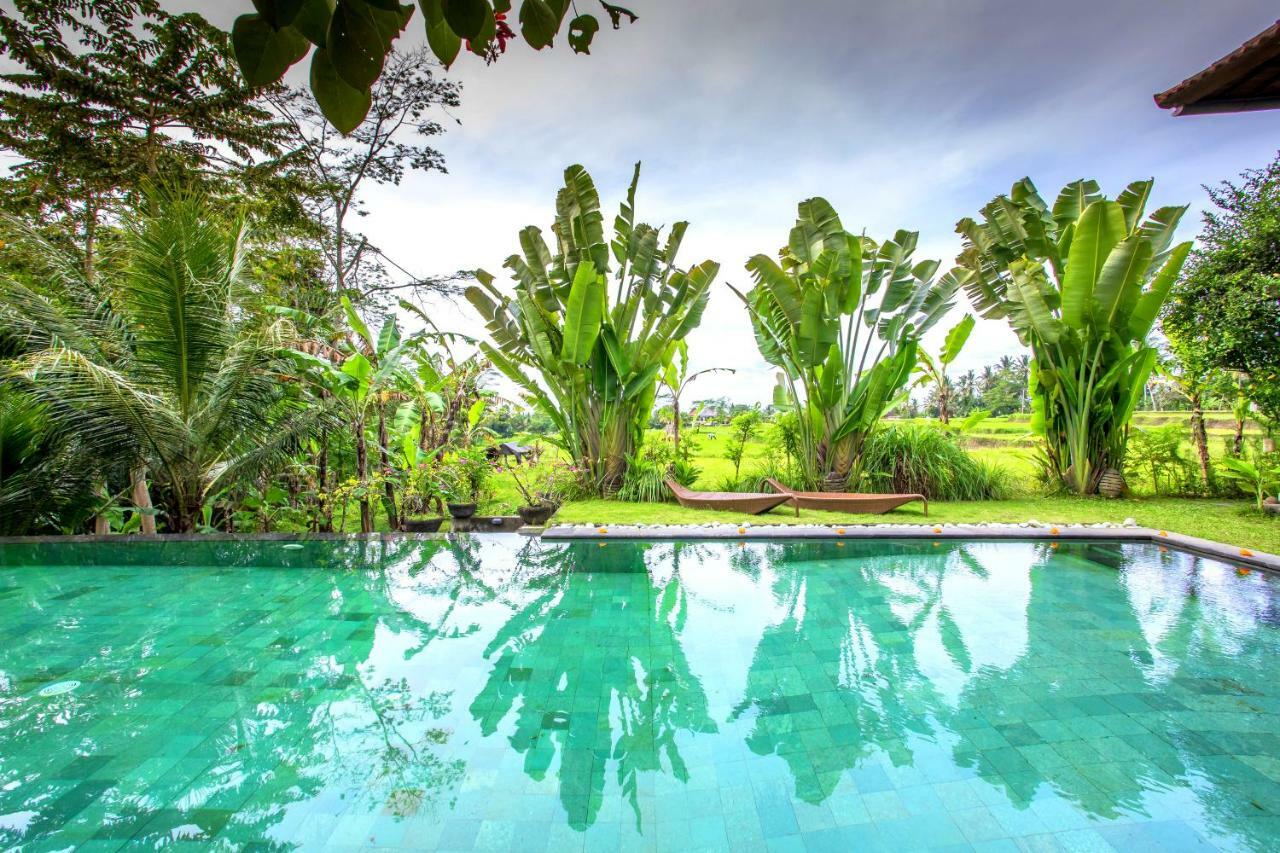 Villa Viola Ubud Eksteriør bilde